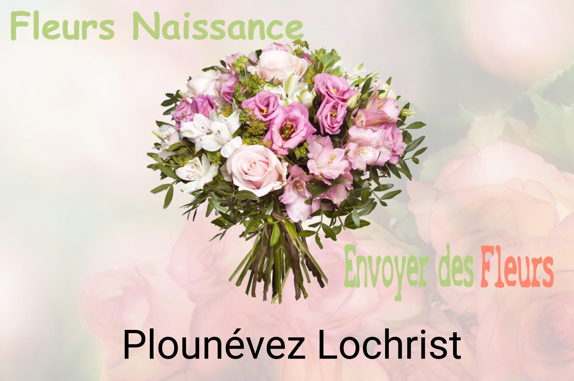 Bouquet de fleurs de naissance livré à Plounévez-Lochrist